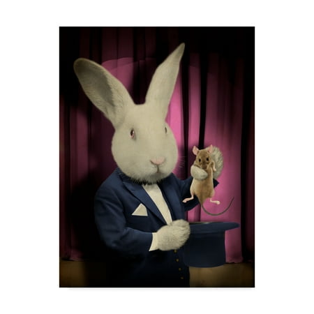 Trademark Fine Art 'Rabbit Magician' Canvas Art by J Hovenstine Studios