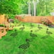 thumbnail image 5 of Jardinería césped pato al aire libre patios traseros simulación silueta pato decoración (B) Wdftyju Para estrenar, 5 of 9