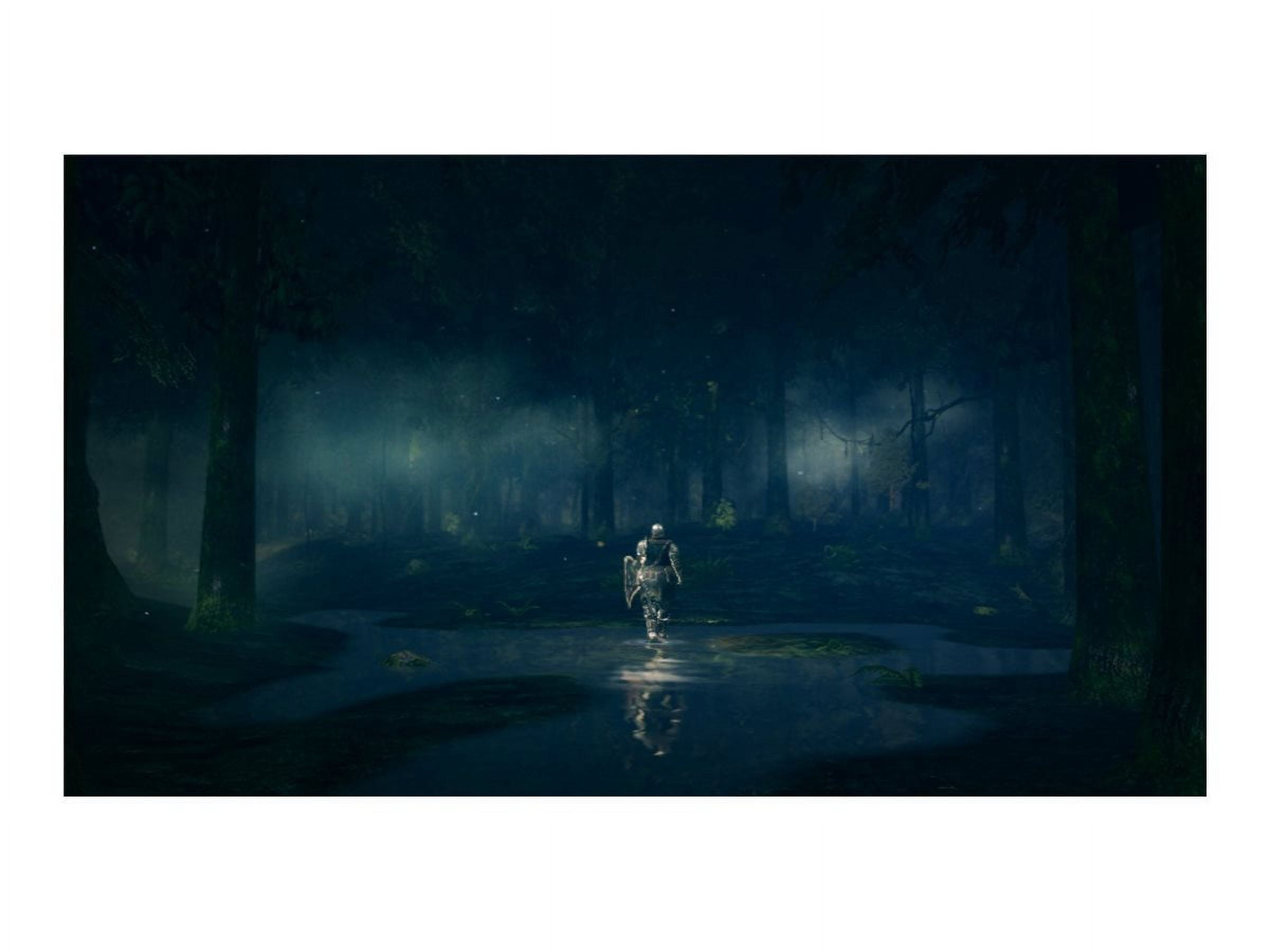 Dark Souls Remastered PS4]