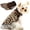 Brown Leopard, variant on Leopard Vest Dog Sweater,Fleece Dog Clothes for Small Dogs Boy Girl,Warm Pullover Fleece Doggie Sweaters Winter Small Dogs Sweatershirt Jacket Coat,Brown Leopard M