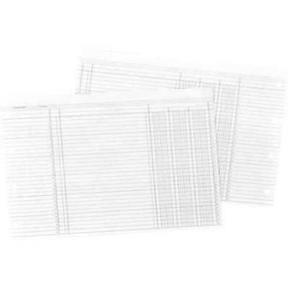 Wilson Jones Columnar Pads