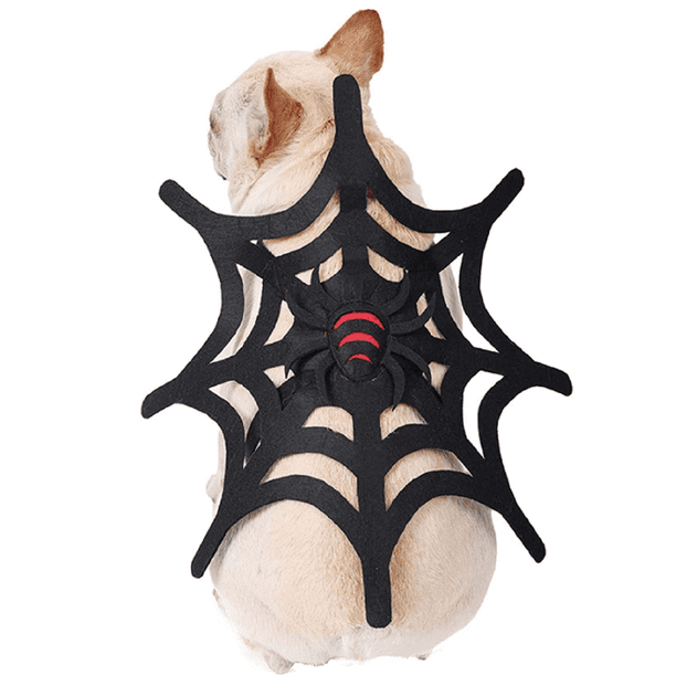 Disfraz de araña Disfraz de mascota Disfraz de araña de Halloween Perros Gato Decoraciones Disfraces para mascotas Ropa de perro para fiestas Disfraz de carnaval Disfraz de telaraña para mascotas