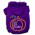 thumbnail image 1 of Lil Punkin Screenprint Hoodie Purple M (12), 1 of 1