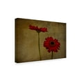 thumbnail image 2 of Trademark Fine Art 'Daddys Flower Ii' Canvas Art by Barbara Simmons, 2 of 3