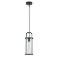 thumbnail image 5 of Trans Globe Lighting Pnd-2234 Rogue 6" Wide Mini Pendant - Black, 5 of 7