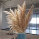 thumbnail image 5 of Gran florero decoración moderna sala de estar para la hierba de las pampas para la decoración de la mesa de cerámica-como plástico blanco decoración de la casa verde, para la decoración de la sala de, 5 of 7
