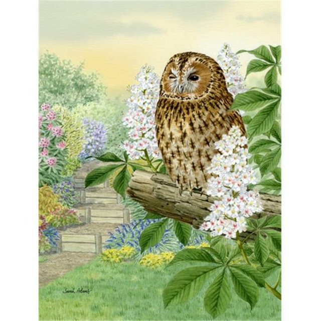 Taille du Jardin du Drapeau du Hibou Fauve