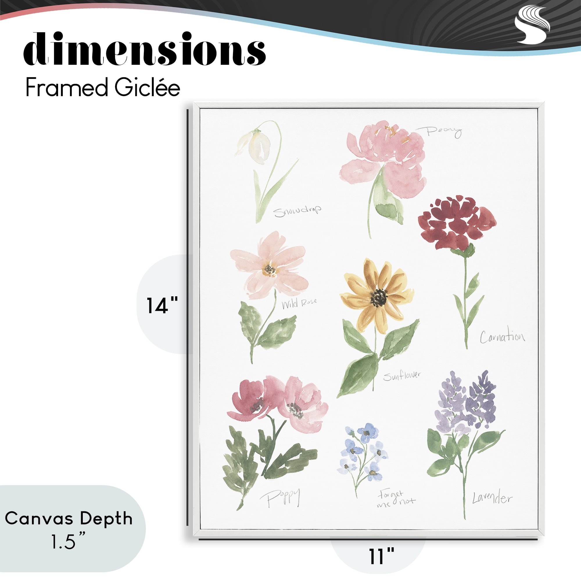 Stupell Industries Labeled Flower Varieties White Framed Giclee Art, design by Lucille Price
