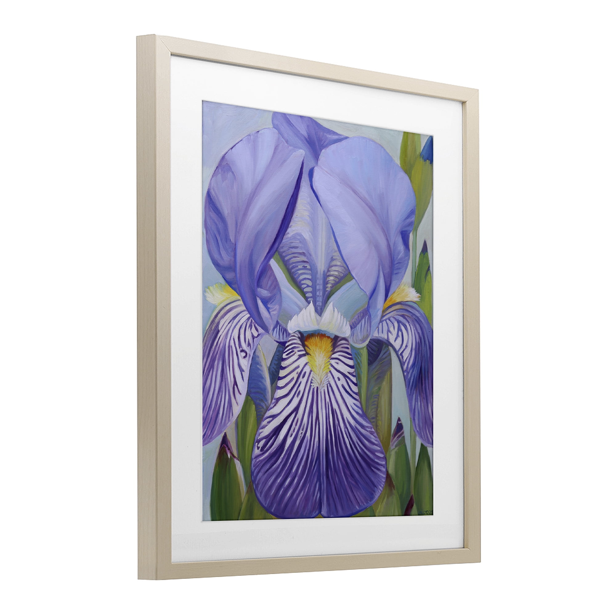 Stupell Industries Blooming Purple Iris Petals Birch Framed Print Under Glass, design by Violeta Vollmer