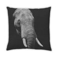 thumbnail image 2 of Ahgly Company Color Focus Black Coussin Intérieur, 18 Pouces par 18 Pouces, 2 of 6