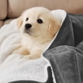 thumbnail image 4 of Moonlight20015 Sherpa Blanket Fluffy Plush Couch & Travel Blanket Reversible Throw Size Silver Color, 4 of 8