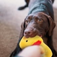 thumbnail image 3 of Squeaky Dog Toy Dog Toy Interesting Shoe Shape Dog Interactive Toy Teeth Cleaning Plaything, 3 of 8
