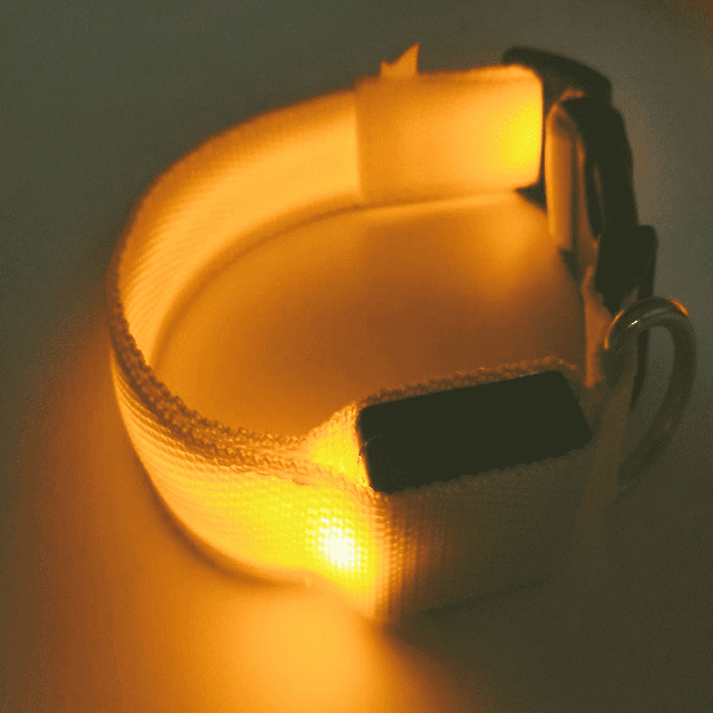 Collar luminoso LED recargable para perros, collar luminoso reflectante ajustable