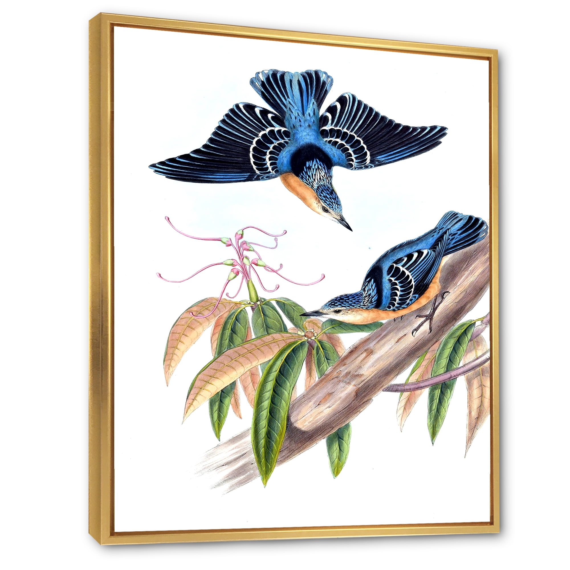 Vintage Countryside Birds On Branch V 16 in x 32 in Framed Painting Canvas Art Print, by Designart