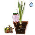 thumbnail image 3 of Bola de riego automático para plantas, riego automático para macetas, riego por goteo automático, paquete de 2, para plantas de interior y exterior, plantas colgantes, plantas de jardín, protector de, 3 of 8