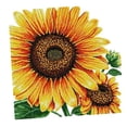 thumbnail image 1 of Abbracc Pattern Stamped Cross Stitch Kits for Beginners Handmade Craft 14CT 49x48cm 14CT, 1 of 8