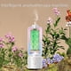 thumbnail image 5 of Máquina automática de aromaterapia, máquina de aromaterapia para hoteles, humidificador (versión estándar, con aceite: 50 ml) Máquina de fragancias, 5 of 5