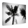 thumbnail image 4 of Trademark Fine Art 'Palm Tree Looking Up II' Canvas Art by Debra Van Swearingen, 4 of 4