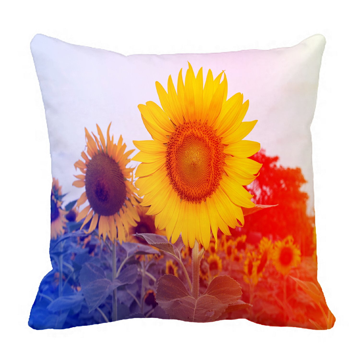 PHFZK Beautiful Sunset Landscape Scenery Pillow Case, Colorful ...