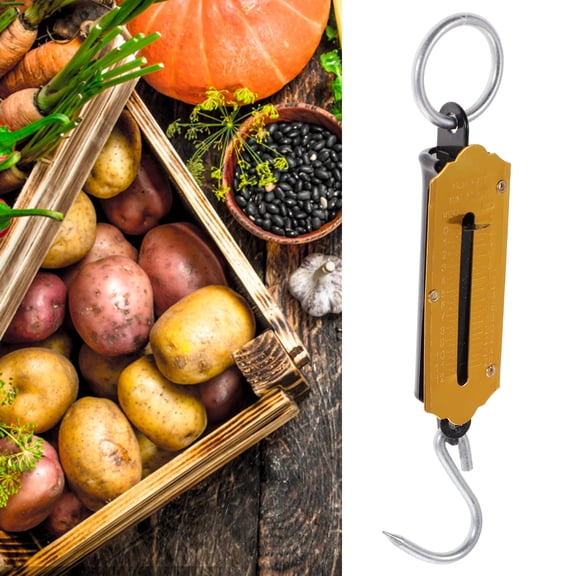 WEAVILUX Portable Handheld Fishing Spring Scale 0-12kg Range, 2-Pack Iron Fishing Weight Scale for Accurate Measurement