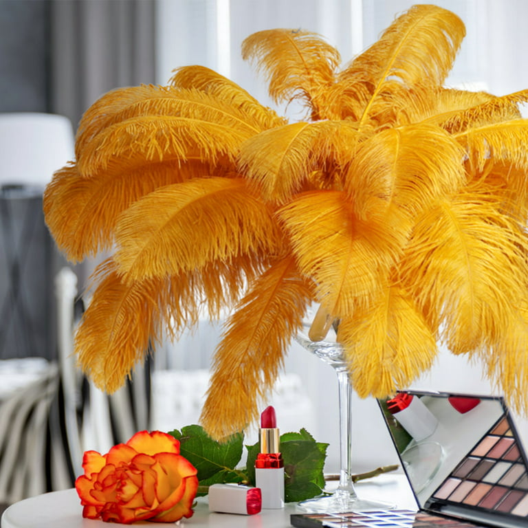 10pcs/lot Colorful Ostrich Feathers for Vase DIYDream Catcher Decor Plume  Crafts Hair Wedding Centerpiece Needlework Accessories