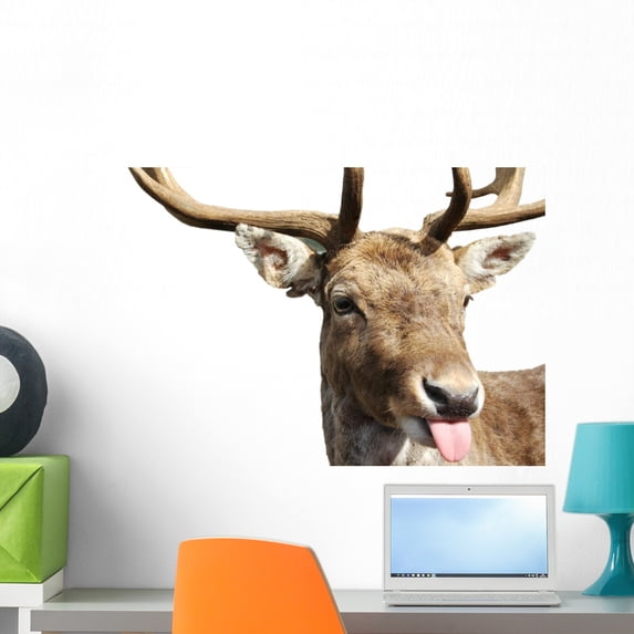 Rude Deer Wall Mural Decal Sticker, Wallmonkeys Peel & Stick Vinyl Graphic (24 in W x 17 in H)