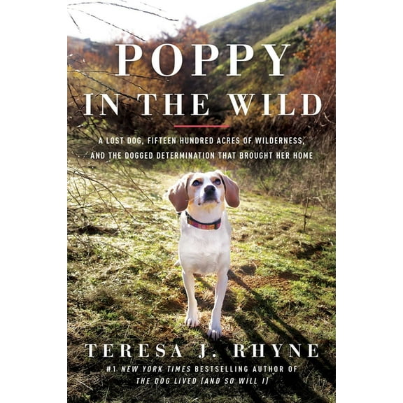 Poppy in the Wild: A Lost Dog, Fifteen Hundred Acres of Wilderness, and the Dogged Determination That Brought Her Home, (Paperback)
