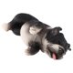 thumbnail image 2 of Modelo de Animal Salvaje Realista Sunnimix Bulldog Francés C, 2 of 7