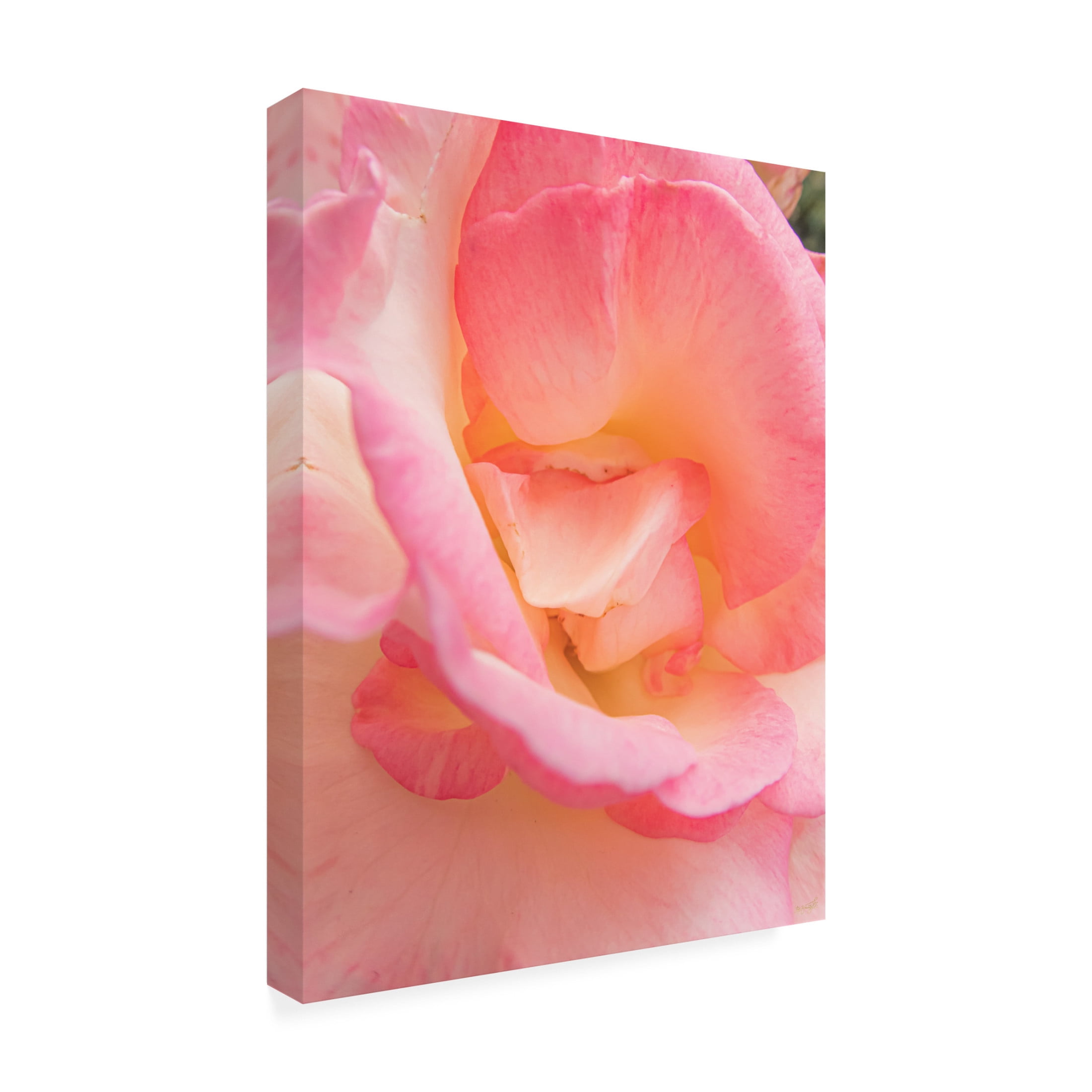 Canvas Wall Art - Life BeautifuLEE 'Pink Gentle Intense' Wall Art for Living Room, Bedroom, or Office Décor by Trademark Fine Art - 18 x 24 Inches