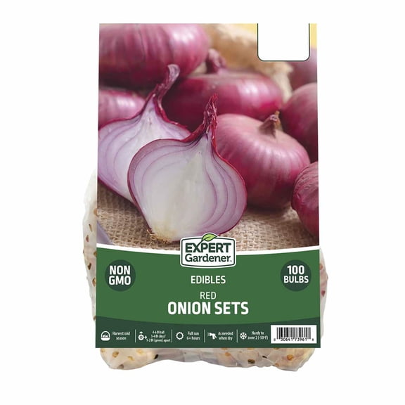 Expert Gardener Red Onion Sets - 100 Dormant Bulbs for Full Sun