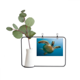 thumbnail image 1 of Océan Bleu Eau Tortue Science Nature Image Métal Cadre Photo Cerac Vase Décor, 1 of 3
