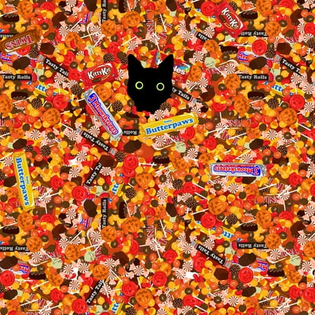 Halloween Black Cat Hiding in Candy Premium Roll Gift Wrap Wrapping Paper