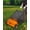 Orange + black, variant on Efficient 26" Push Lawn Sweeper with 4 Spinning Brushes – 7 Cu. Ft. Hopper, Adjustable Height, Heavy Duty Steel Frame & Rubber Wheels for Yard, Garden