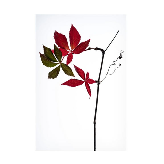 Canvas Wall Art - Thierry Lagandre Transgressed 'Simple' Wall Art for Living Room, Bedroom, or Office D?cor by Trademark Fine Art - 12 x 19 Inches