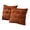 Brown, variant on Pumpkin Fall Decorative Throw Pillow Covers, 18x18" Set of 2 Soft Pillow Covers for Autumn Harvest, Fluffy Plush Accent Pillow Cases for Sofa Bedroom Living Room Home Farmhouse Halloween Decor