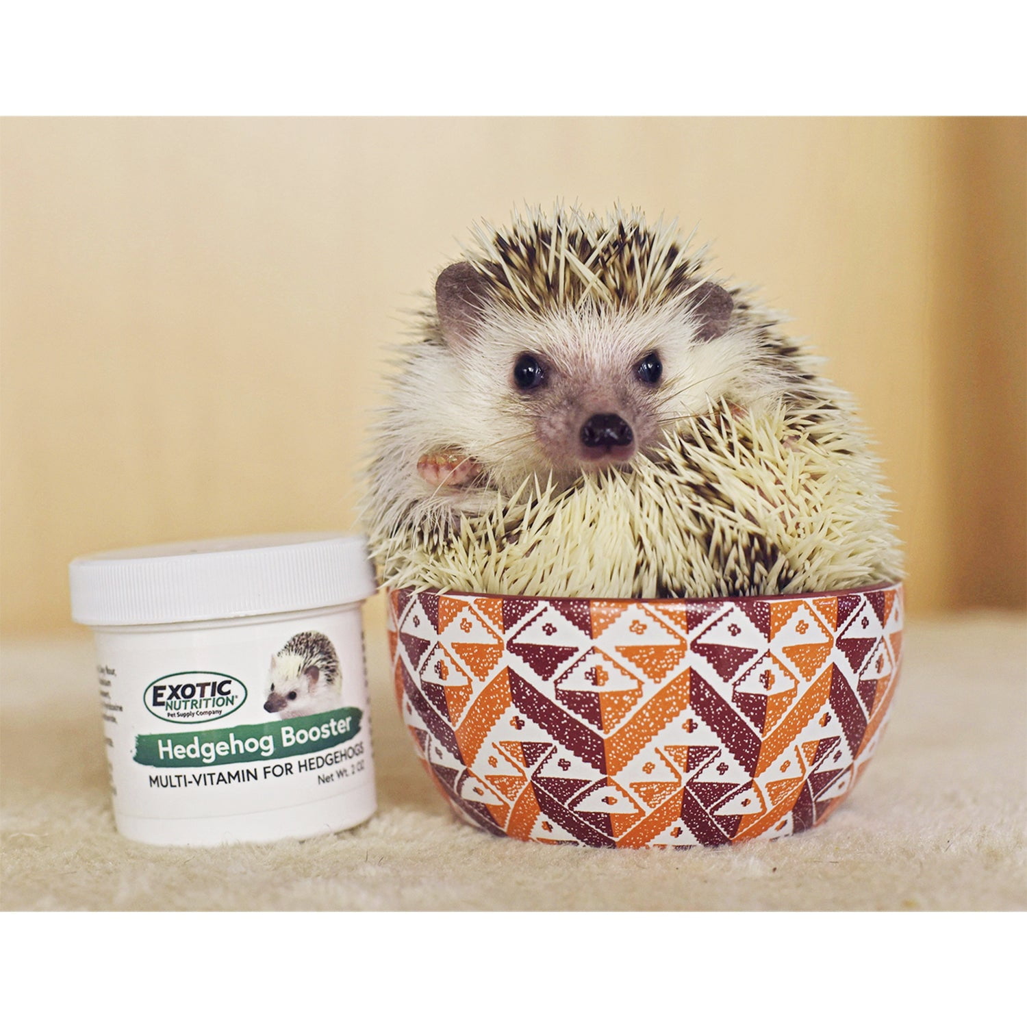 Starter Package for Hedgehogs - Includes Exercise Wheel, Healthy Food, Natural Treat, Multi-Vitamin & Hideout