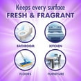 thumbnail image 4 of Fabuloso All Purpose Cleaner - 169 fl. oz. Bottle Liquid - 169 fl oz (5.3 quart) - Fresh, Lavender ScentBottle - 1 Each - Purple, 4 of 7