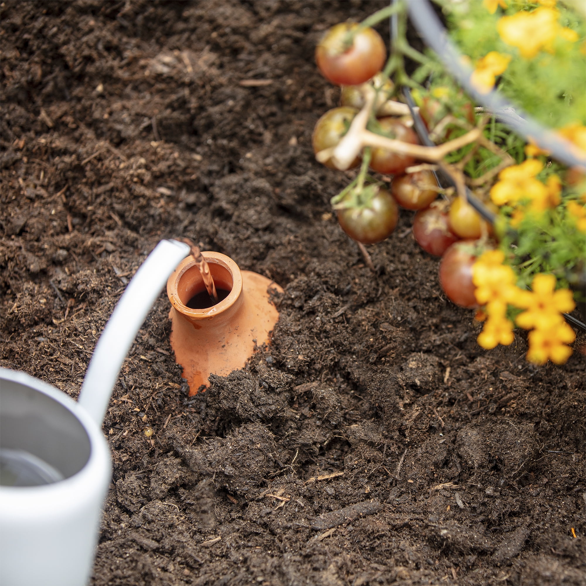 Back to the Roots Self-Watering Terracotta Olla Pot
