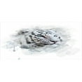 thumbnail image 4 of Animal Piggy Bank, Portrait of a White Tiger Wild Nature Predator Watercolor Splashes, Ceramic Coin Bank Money Box for Cash Saving, 3.6" X 3.2", Black Grey White, by Ambesonne, 4 of 4