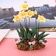 thumbnail image 4 of Miniatura de casa de muñecas en escala 1:12, maceta de resina con flores y plantas, accesorios para casa de muñecas., 4 of 8