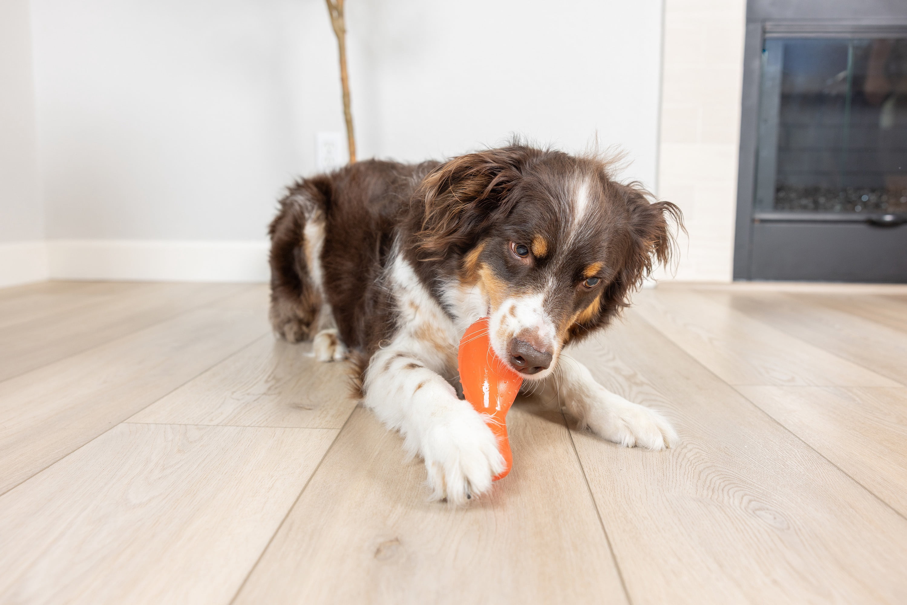Chuckit! Crunch Drumstick Treat Puzzle Dog Toy, Medium, Orange – Turkey‑Scented Treat & Chew Toy for Dogs 20–50 lb, Pack of 1