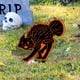 thumbnail image 4 of Letreros de jardín Matsuzay decoración de gatos para Halloween accesorio aterrador Acrílico, 4 of 6