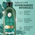 thumbnail image 2 of Herbal Essences Scalp + Purify Eucalyptus Sulfate Free Conditioner, 400ml, 2 of 13