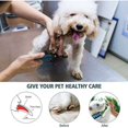 thumbnail image 5 of Lima de uñas eléctrica para perros, cortaúñas para perros, gatos y conejos, limas de garras eléctricas con 2 velocidades, 50 dB ultra silenciosa, carga rápida USB, segura y adecuada para todos los, 5 of 5