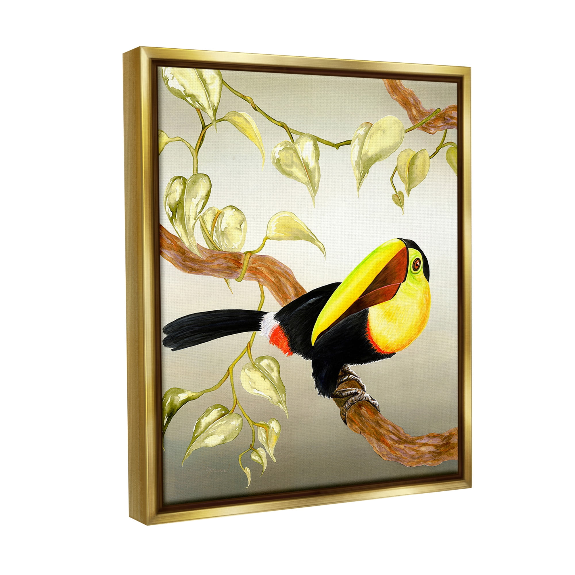 Stupell Industries Toucan Perched on Branch Animals & Insects Painting Gold Floater Framed Canvas Art Print Wall Art, 17 x 21