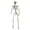 Beige, variant on 15.7" Life Size Posable Halloween Skeleton Full Body with Movable Joints, Realistic Human Bones Model for Outdoor Yard Haunted House Decor, Adjustable Articulated Prop for Party Display 3PC