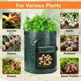 thumbnail image 4 of 5 Pack 10 Gallon Potato Grow Bags with Flap Window & Sturdy Handles, Garden Vegetables Planting Bag Planter Heavy Duty Growing Container for Tomato Onion Carrot Flowers Fruits, Green, 4 of 6
