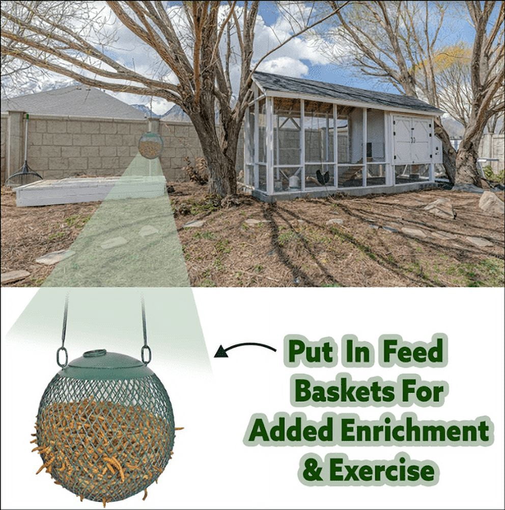 Exotic Nutrition Dried Mealworms 22 lb.