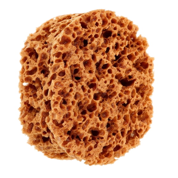 Hemobllo Reusable Natural Sea Sponge for Painting with Acrylics and Wall Texture