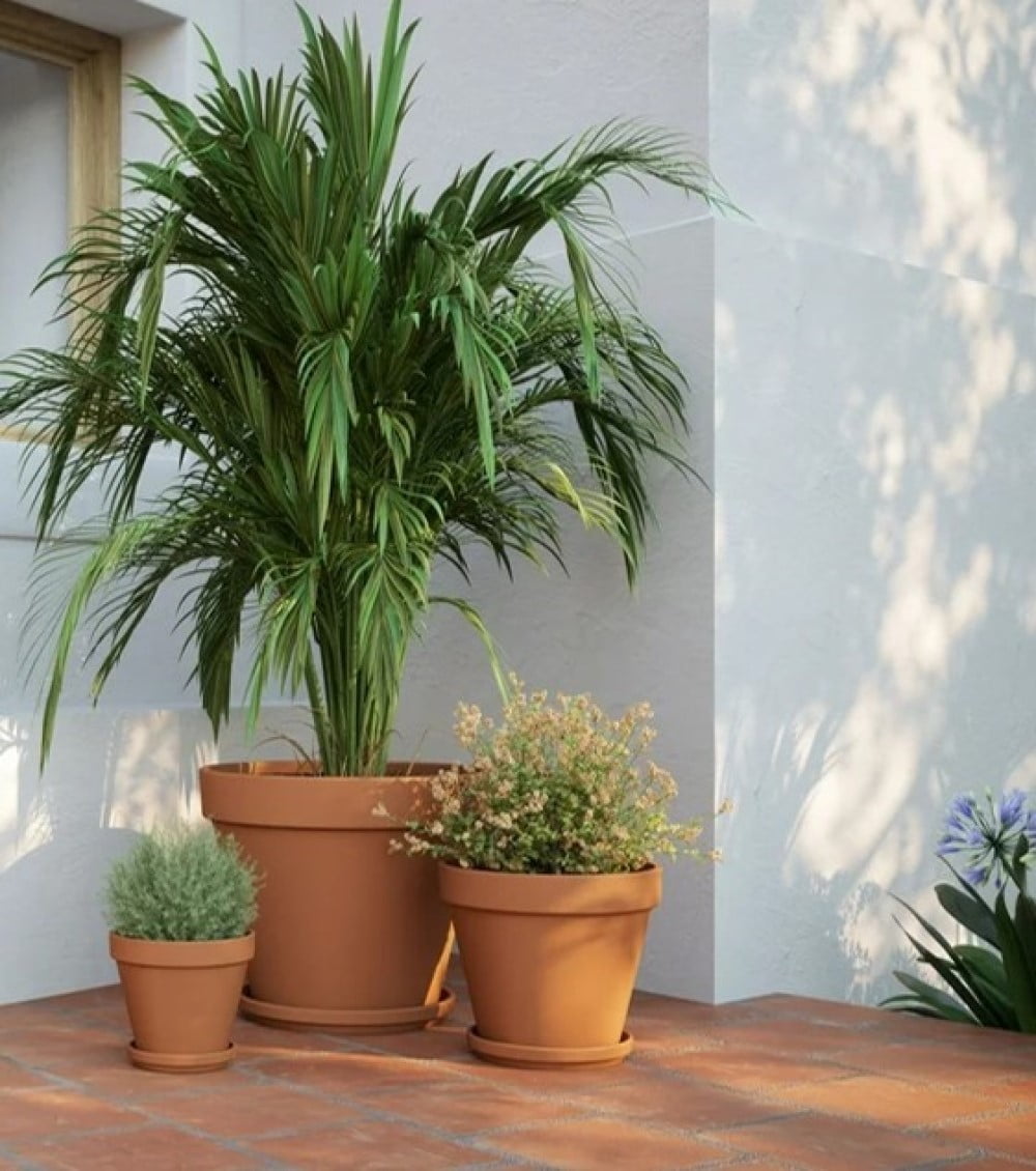 Artevasi 2 inch Round Terracotta Clay Flower Pot With Drainage Hole for Indoor and Outdoor Use